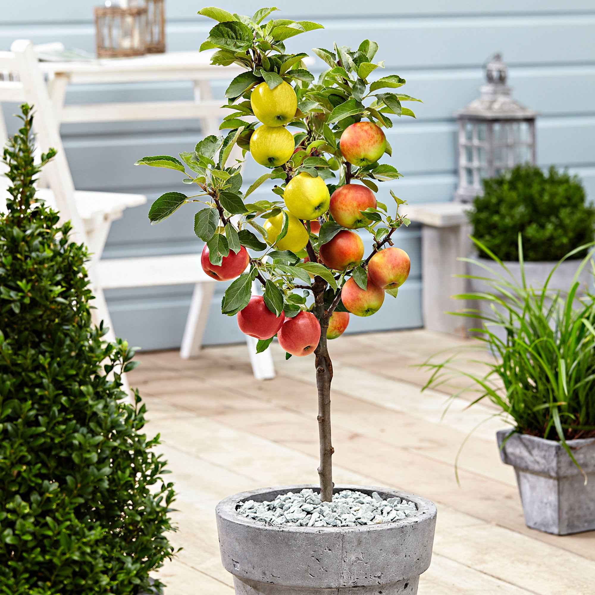 Miniatuur 1