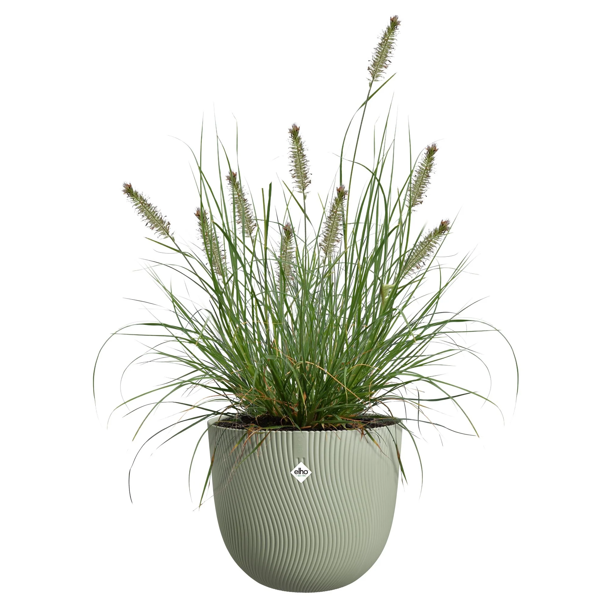 Miniatuur 2
