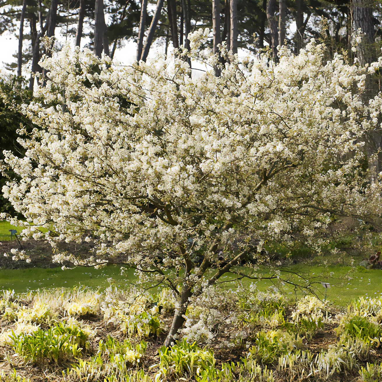 Miniatuur 2