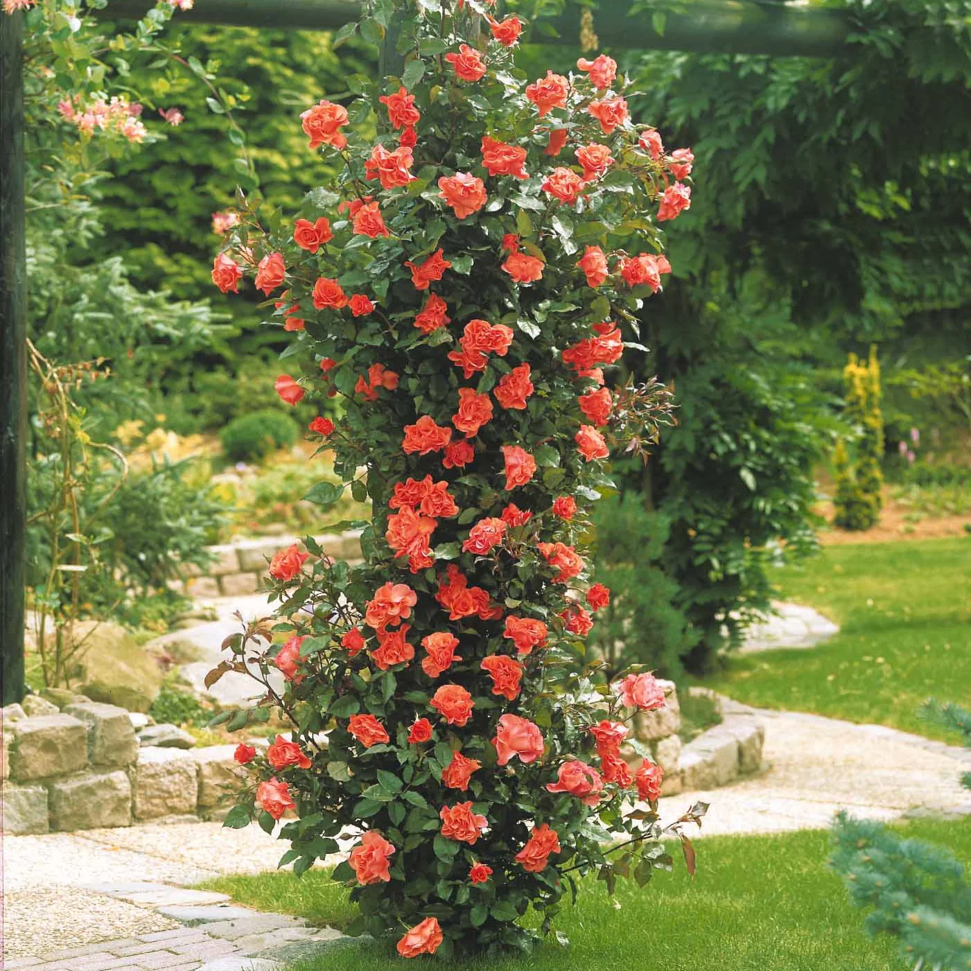 Miniatuur 1