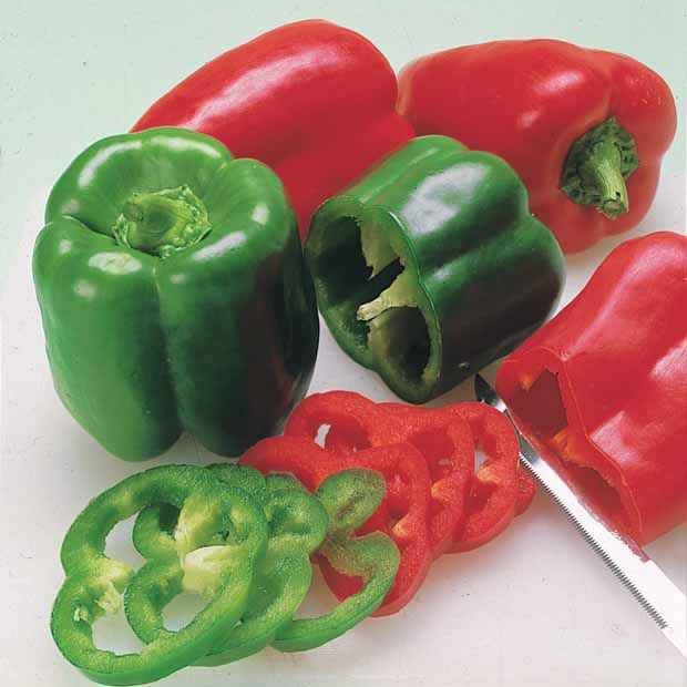Miniatuur 1