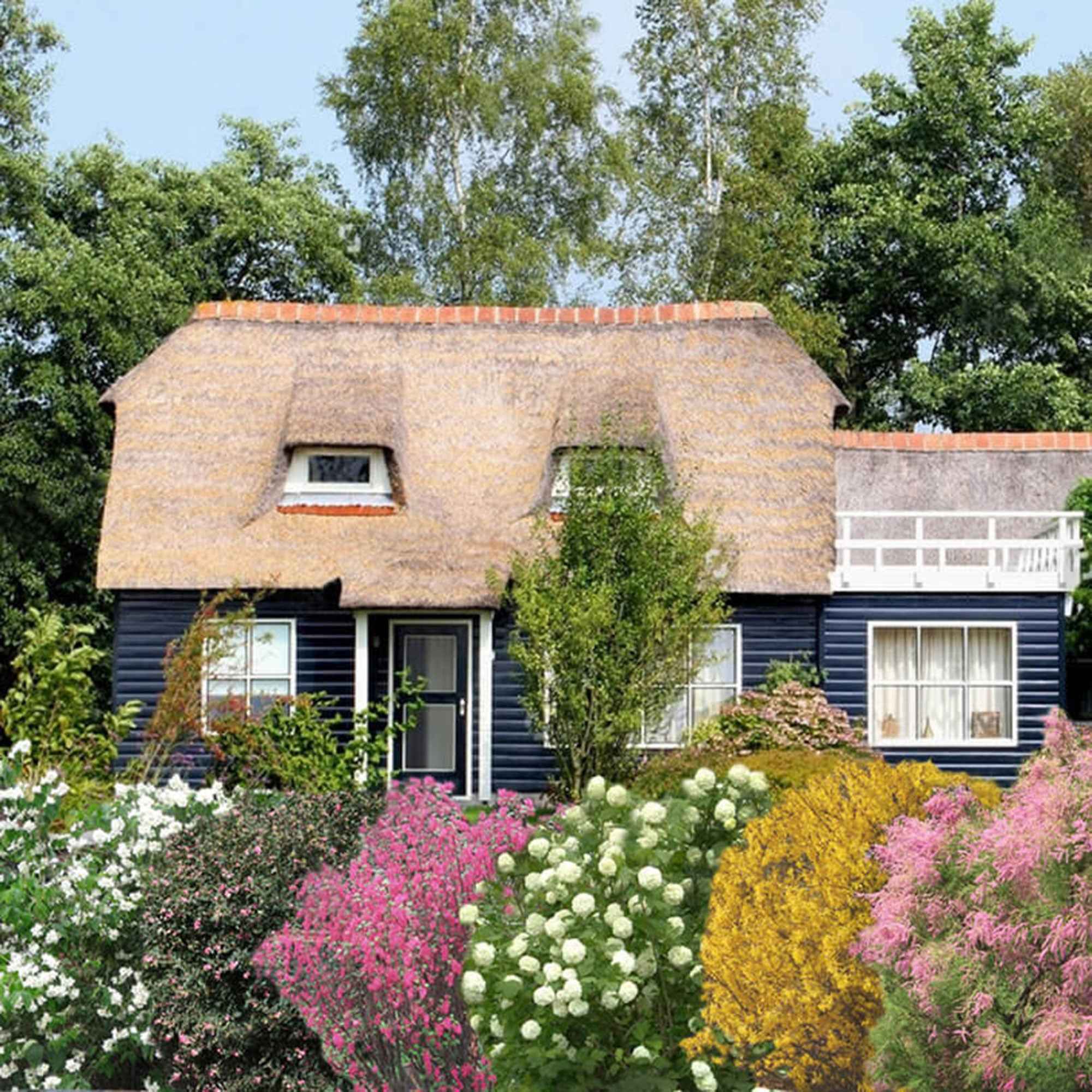 Miniatuur 2
