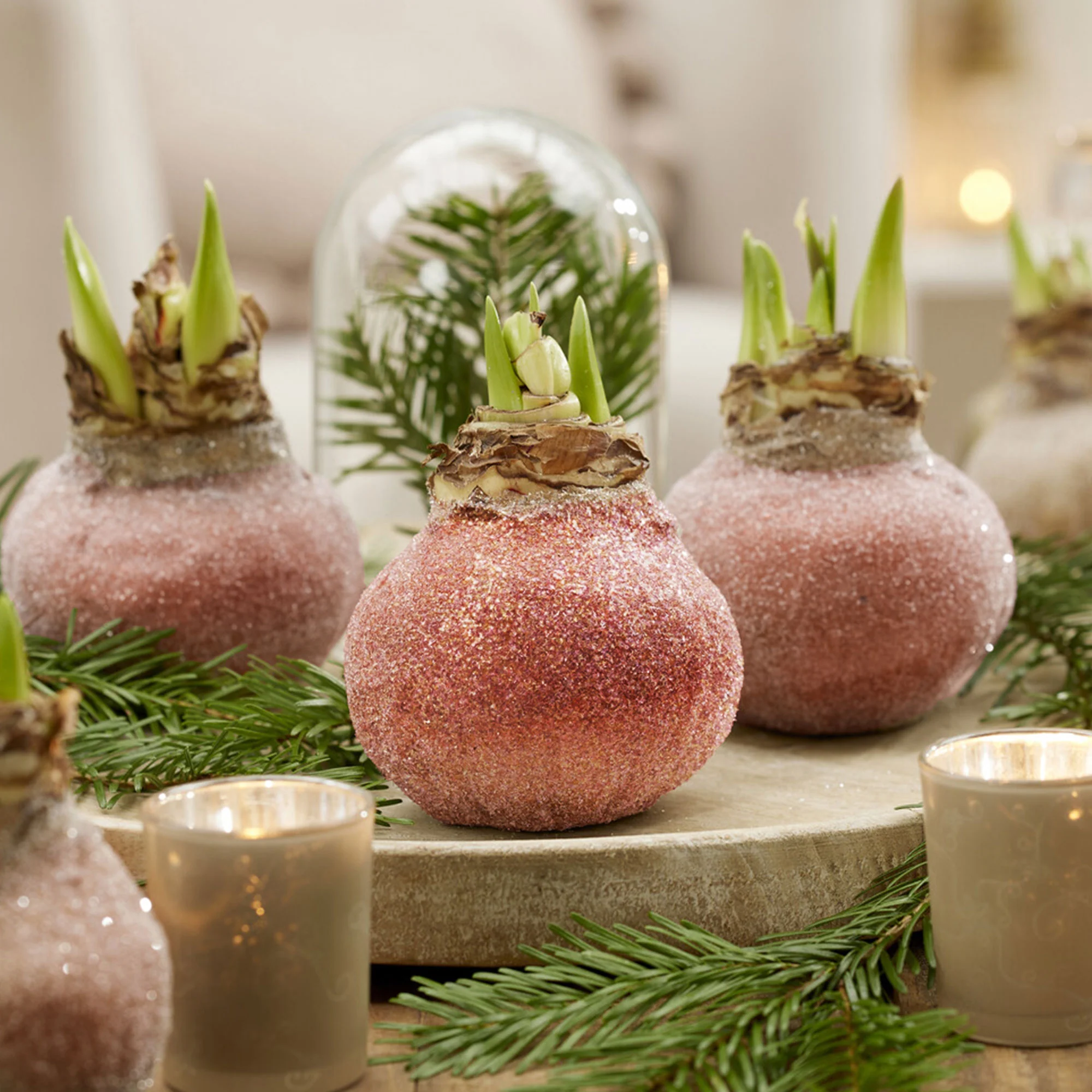 Miniatuur 1